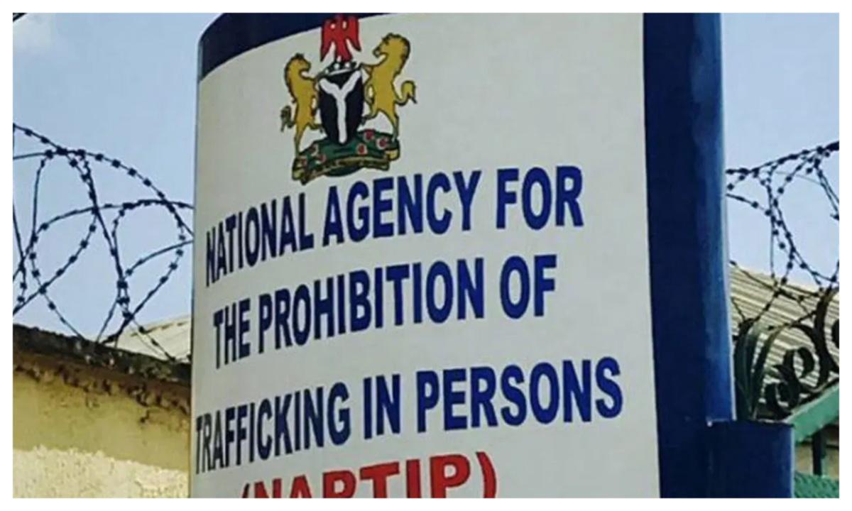 NAPTIP and Taraba Reunite 10 Trafficked Children NAPTIP and Taraba Reunite 10 Trafficked Children