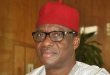 LG Council Nullifies Ex-Senate Chief Whip’s Selection LG Council Nullifies Ex-Senate Chief Whip's Selection