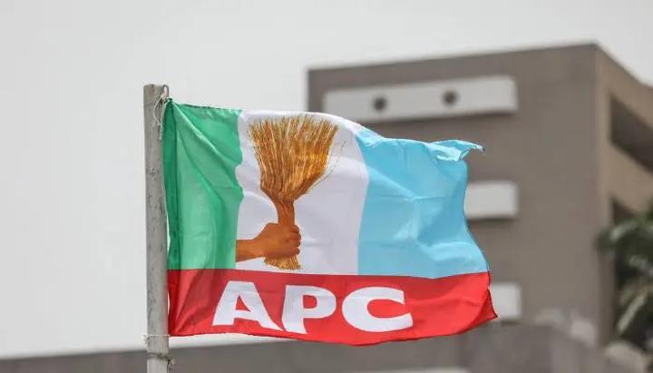 2027: We’re having more youths as members – APC 2027: We’re having more youths as members – APC
