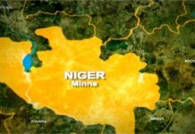 Four abducted tree cutters freed after gunfight in Niger Four abducted tree cutters freed after gunfight in Niger