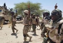 Troops Overpower Terrorists in Katsina Recover 529 Animals Troops Overpower Terrorists in Katsina Recover 529 Animals