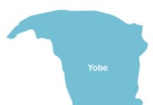 Wife allegedly mutilates husband’s genitals in Yobe Wife allegedly mutilates husband’s genitals in Yobe