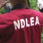 NDLEA Army Arrest Owners with 11,297 Tramadol Capsules NDLEA Army Arrest Owners with 11,297 Tramadol Capsules