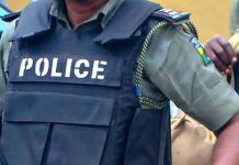 Police Arrest Six Suspected Criminals in Kano Police Arrest Six Suspected Criminals in Kano