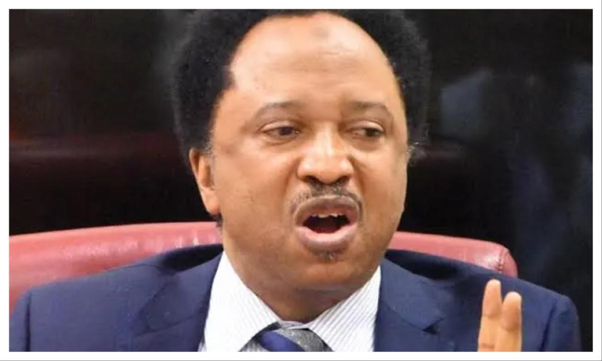 Shehu Sani on Russian Filming Ghanaian Kenyan Women Shehu Sani on Russian Filming Ghanaian Kenyan Women