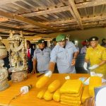 Customs Seizes 1.35 Billion Naira in Contraband Customs Seizes 1.35 Billion Naira in Contraband