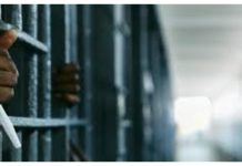 Man Sentenced to 15 Years for Cannabis Possession Man Sentenced to 15 Years for Cannabis Possession