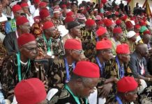Ohanaeze Appoints Professors to Save Igbo Language Ohanaeze Appoints Professors to Save Igbo Language
