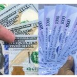 Naira Depreciates Against Dollar After Eight-Day Rally Naira Depreciates Against Dollar After Eight-Day Rally