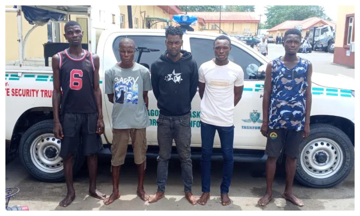 Omotaku Gang Arrested for Extorting Drivers in Lagos Omotaku Gang Arrested for Extorting Drivers in Lagos