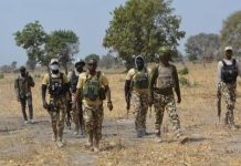 Troops arrest suspected Boko Haram recruiter in Borno Troops arrest suspected Boko Haram recruiter in Borno
