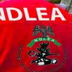 NDLEA Seizes N1.8bn Drugs in Edo Arrests 104 Suspects NDLEA Seizes N1.8bn Drugs in Edo Arrests 104 Suspects
