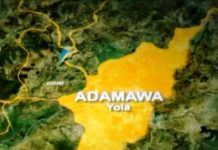 Adamawa ex-teachers protest 29 months unpaid salaries Adamawa ex-teachers protest 29 months unpaid salaries