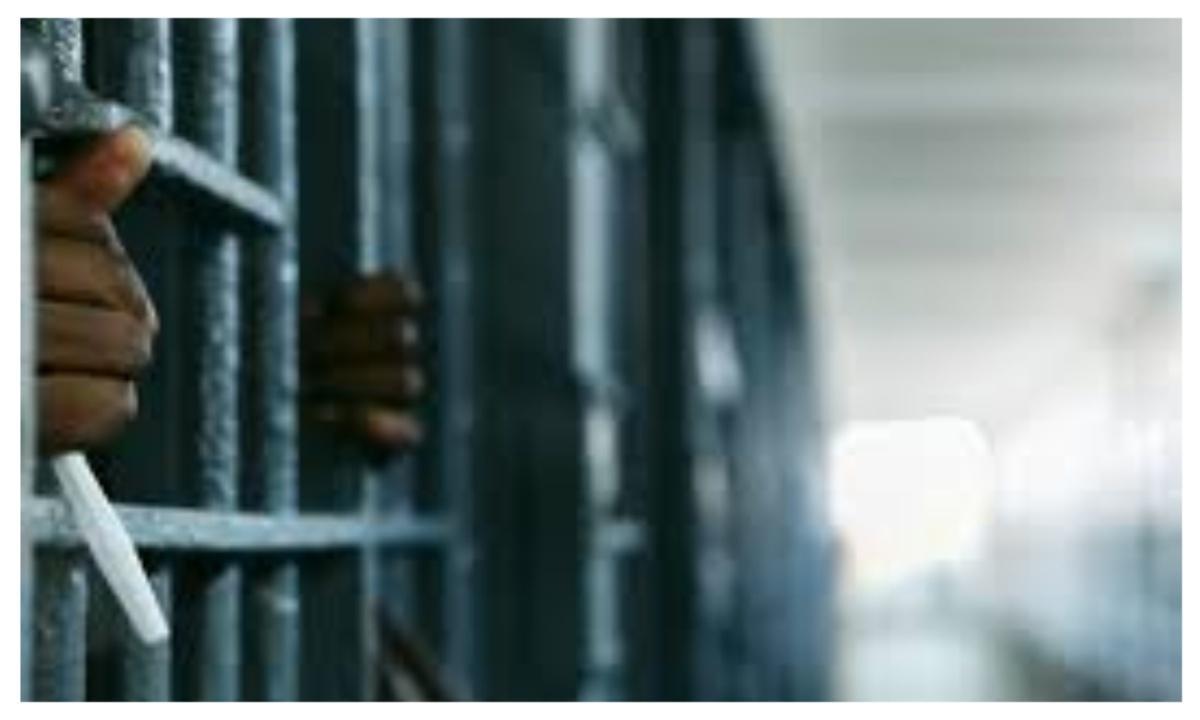 Ex-Senatorial Candidate Jailed for Selling Petrol to Boko Haram Ex-Senatorial Candidate Jailed for Selling Petrol to Boko Haram