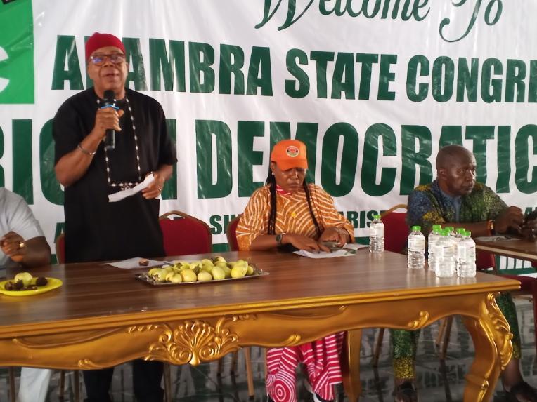 Anambra ADC Elects Nwosu as Chairman in State Congress Anambra ADC Elects Nwosu as Chairman in State Congress
