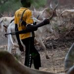 Benue community in fear as suspected herdsmen kill one Benue community in fear as suspected herdsmen kill one