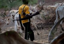 Benue community in fear as suspected herdsmen kill one Benue community in fear as suspected herdsmen kill one