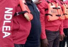 NDLEA Arrests 93-Year-Old Doctor for Drug Trafficking NDLEA Arrests 93-Year-Old Doctor for Drug Trafficking