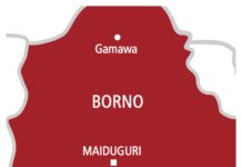 Military Airstrike Mistakenly Hits Civilians in Borno Military Airstrike Mistakenly Hits Civilians in Borno