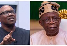Igbo Will Favor Obi Over Tinubu in 2027 Election Igbo Will Favor Obi Over Tinubu in 2027 Election