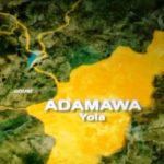 Over 80 Cows Die After Eating Poisonous Grass Over 80 Cows Die After Eating Poisonous Grass