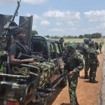 Nigerian Forces Free 337 Hostages, Recover Livestock Nigerian Forces Free 337 Hostages, Recover Livestock