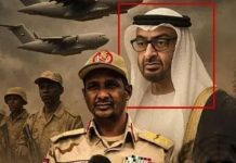 US Study: UAE Funds Mercenaries, Linked to Sudan Atrocities US Study: UAE Funds Mercenaries, Linked to Sudan Atrocities