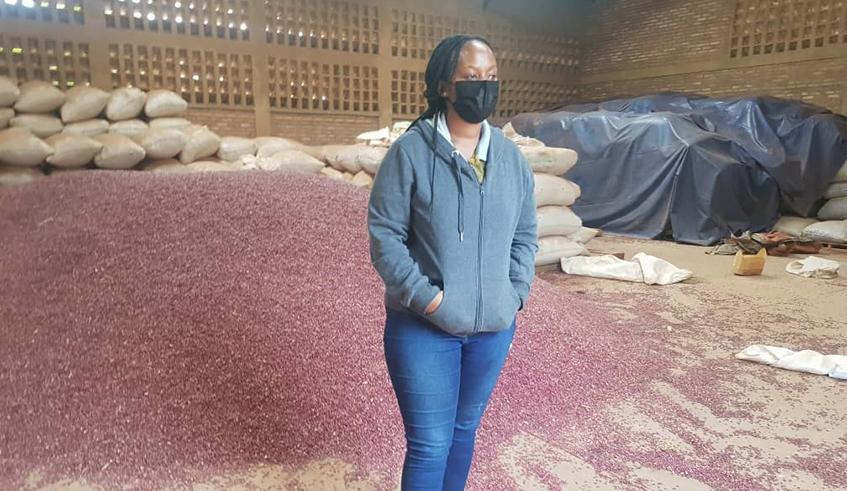 Mukagatete on changing lives through growing nutritious beans Mukagatete on changing lives through growing nutritious beans