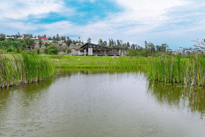 Kigali To Turn All Major Wetlands Into Eco Parks Kigali To Turn All Major Wetlands Into Eco Parks