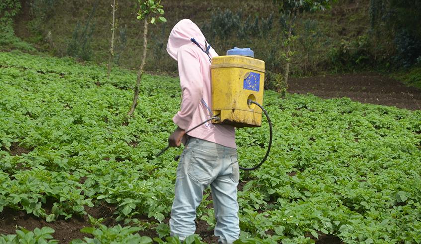 Agriculture stakeholders appeal for incentives to organic farmers Agriculture stakeholders appeal for incentives to organic farmers