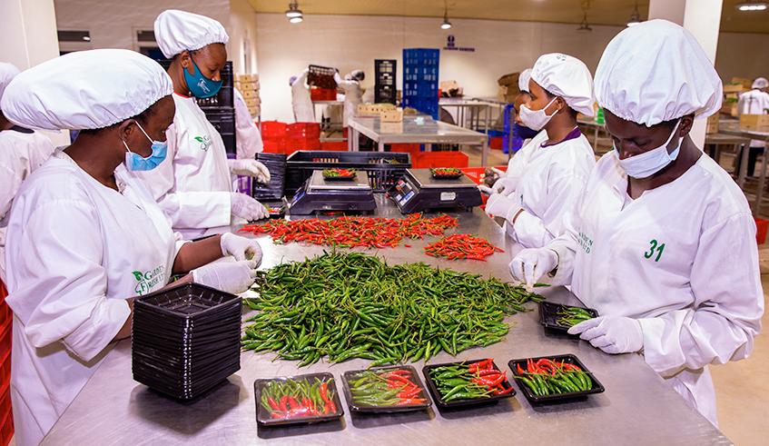 Rwanda agricultural exports grow by 39 per cent in Q2 Rwanda agricultural exports grow by 39 per cent in Q2