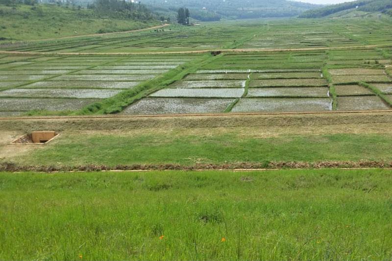 Japanese Sponsored Dam Projects Yield Expected Results Japanese Sponsored Dam Projects Yield Expected Results