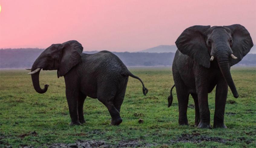 Stockholm+50 - It’s time for a Healthy Planet for the Prosperity of All Stockholm+50 - It’s time for a Healthy Planet for the Prosperity of All