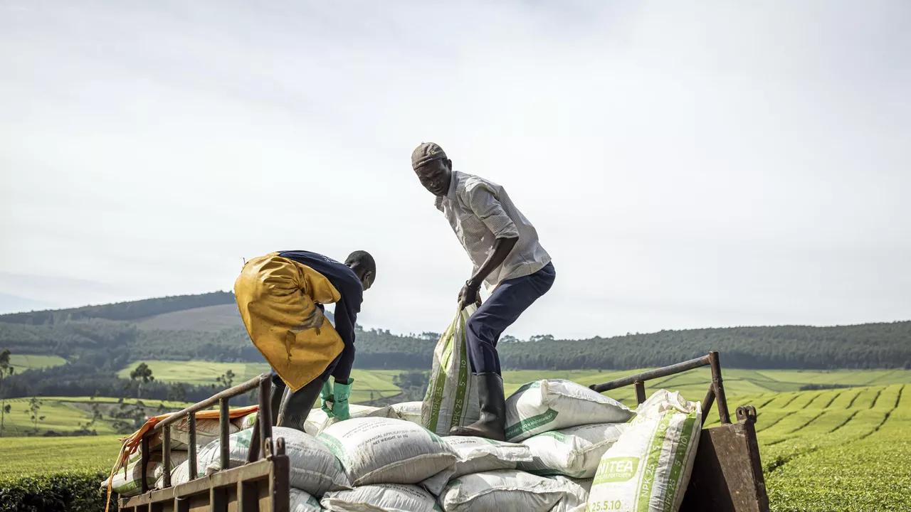 Anti-Russian Sanctions Blocking Fertilizer Shipments Have ‘Direct Impact on West Africa’