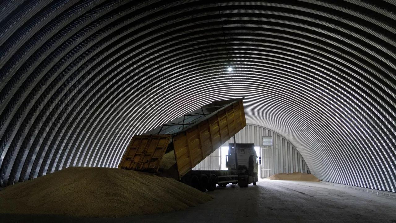 Red Cross: Most Grain Exported Under ‘Grain Deal’ Does Not Reach Africa Red Cross: Most Grain Exported Under ‘Grain Deal’ Does Not Reach Africa