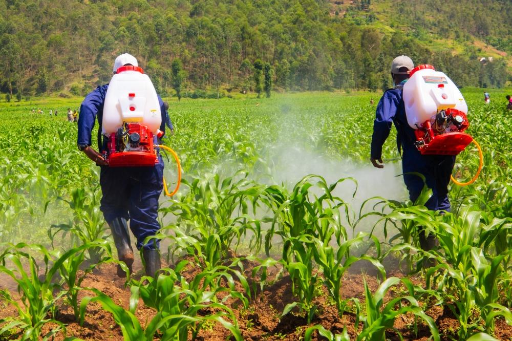 2022: A year of ‘firefighting’ in agriculture 2022: A year of ‘firefighting’ in agriculture