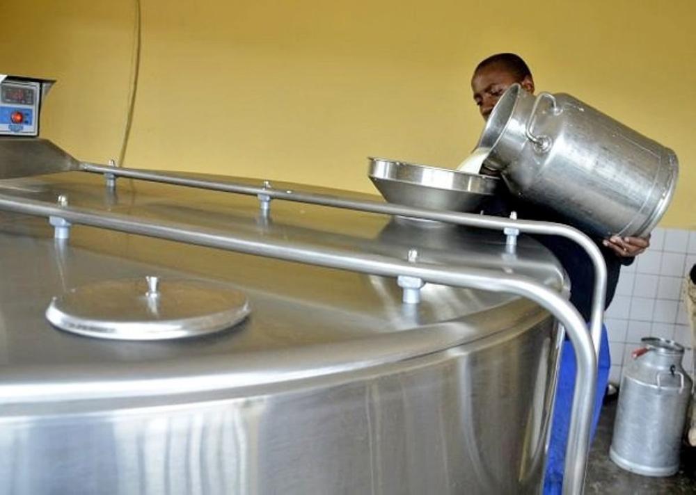 Kayonza: Why over 55,000 litres of milk not recorded daily Kayonza: Why over 55,000 litres of milk not recorded daily