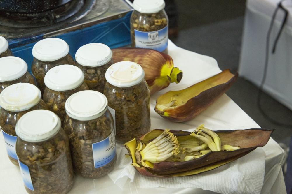 Local varsity researcher on turning banana stems, buds into food, paper products Local varsity researcher on turning banana stems, buds into food, paper products