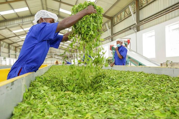 Rwanda Economy Shows Resilience, In a Global Economy Still In Convalescence Rwanda Economy Shows Resilience, In a Global Economy Still In Convalescence