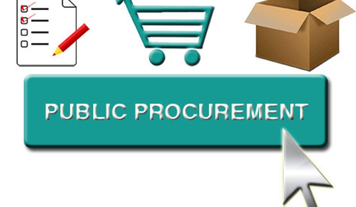 What Public Procurement Mean