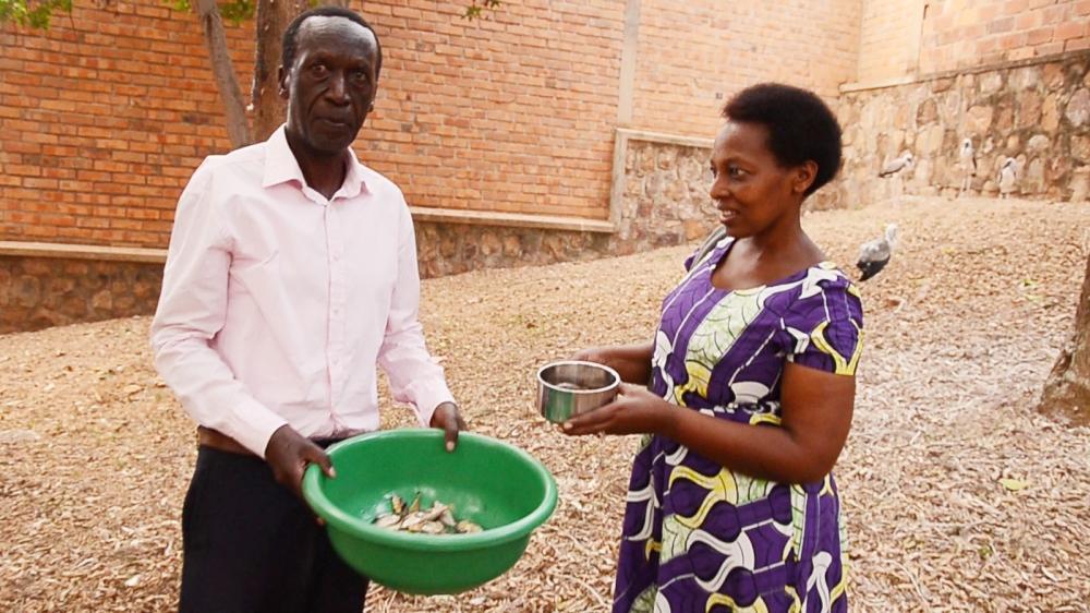 One man’s fight to protect Rwanda’s historic bird species One man’s fight to protect Rwanda’s historic bird species