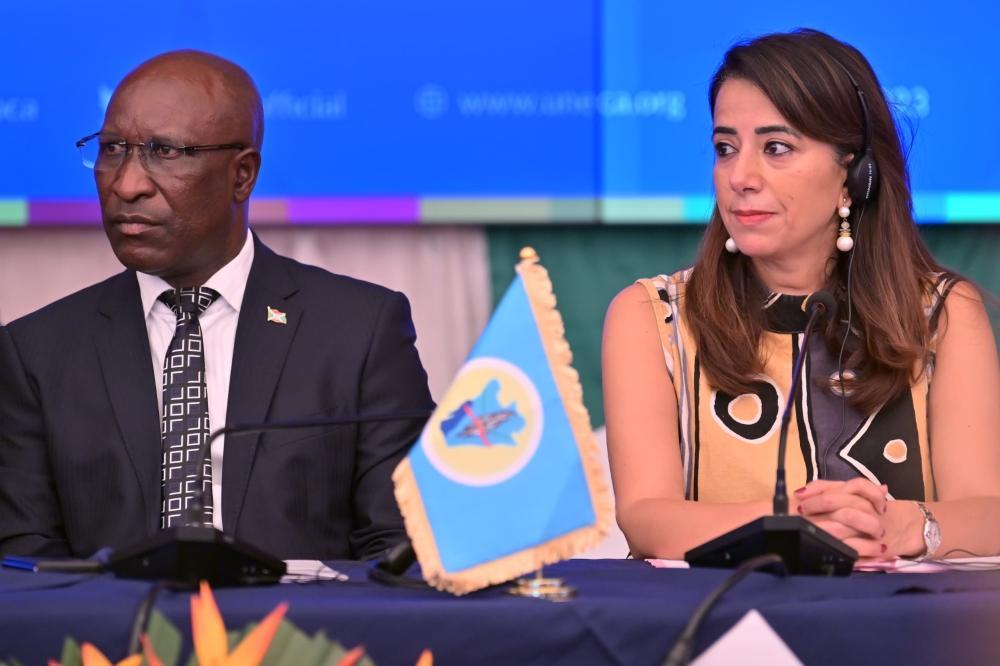 Experts discuss East, Central African manufacturing, food security Experts discuss East, Central African manufacturing, food security