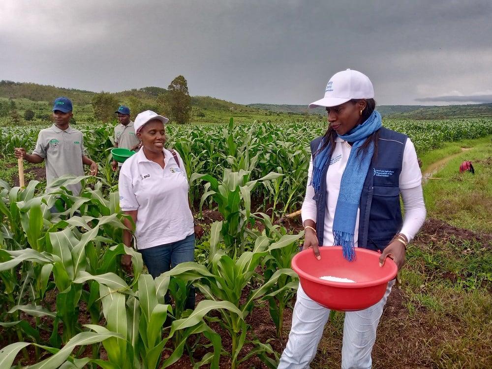 World Food Day 2023: Officials Explain Connection Between Water And