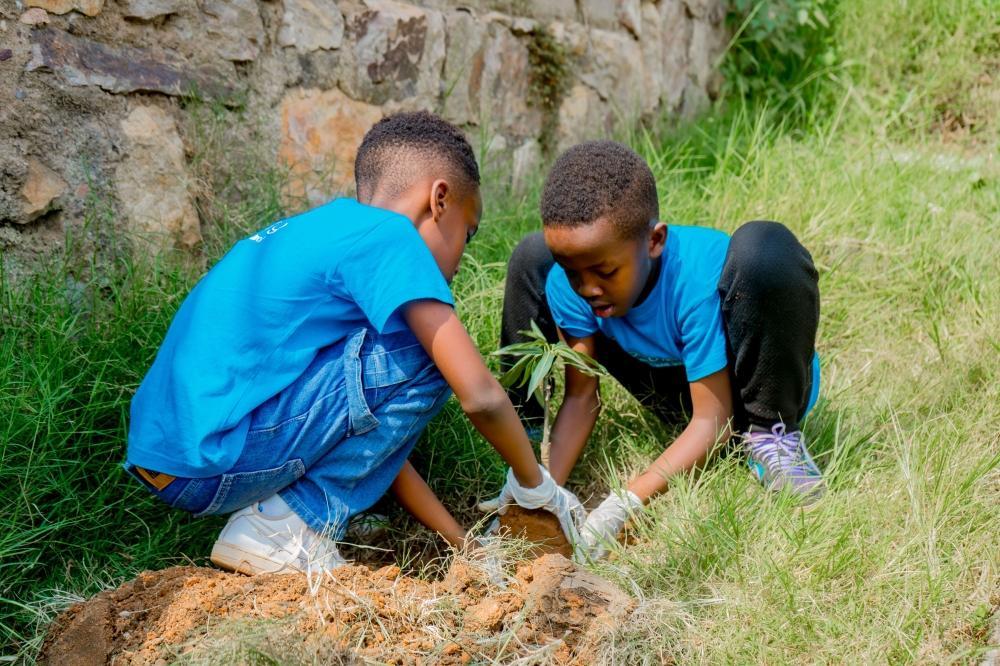 Cultivating a Greener Rwanda: NCBA Bank joins hands with students for World Environment Day tree planting Cultivating a Greener Rwanda: NCBA Bank joins hands with students for World Environment Day tree planting