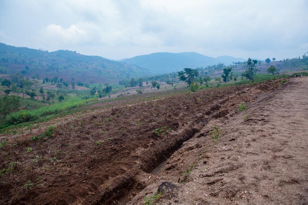 Rwanda secures Rwf40bn for forest management in Kaduha-Gitwe corridor ...
