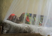 Malaria drug resistance: Rwanda updates treatment guidelines Malaria drug resistance: Rwanda updates treatment guidelines