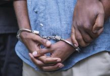 Man suspected of duping 500 people in $10m forex fraud to be arraigned Man suspected of duping 500 people in $10m forex fraud to be arraigned