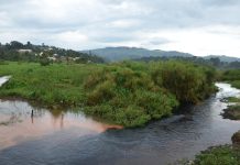 Rwanda to restore 1,000 wetlands as report highlights water crisis in Africa Rwanda to restore 1,000 wetlands as report highlights water crisis in Africa