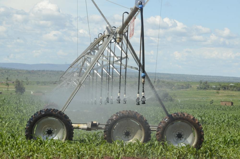 Solar-powered irrigation in Rwanda to cover over 1,140ha by 2029 Solar-powered irrigation in Rwanda to cover over 1,140ha by 2029