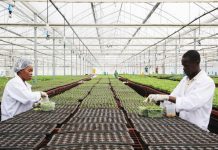 Inside Rwanda’s new Rwf13bn agri-biotech programme Inside Rwanda’s new Rwf13bn agri-biotech programme